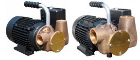 Lowara Versatile Utility Pumps
