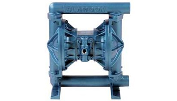 Cast Iron Blagdon Pumps