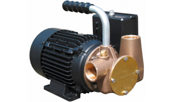 Lowara Versatile Utility Pumps
