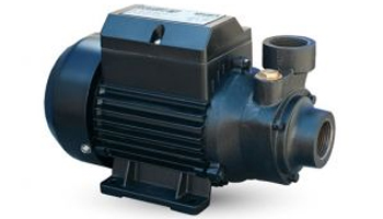 PH Cast Iron Peripheral Pumps