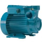 CT Cast Iron Peripheral Booster Pump