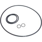 Lowara O-Ring Kit (FPM) for e-SV 1/3/5 range