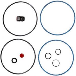 CR8 / CRN8 / CR16/ CRN16 Shaft Seal And Gasket Kit (Viton Bellows Type) - BUBV