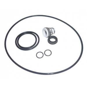 Lowara SiC/car/FPM Mechanical Seal Kit for e-SV 10/15/22 