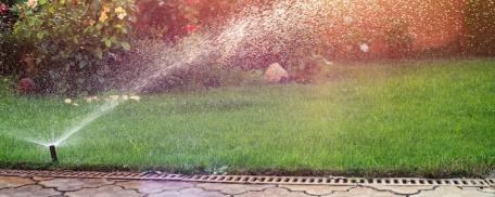 Watering Your Lawn: Everything You Need to Know