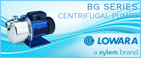 Lowara BG Series