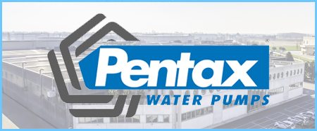 Pentax DP/DPV