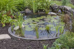 8 Things You Need To Know Before Choosing A Pond Pump Anchor Pumps