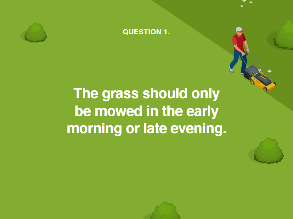 image showing when to mow grass during a heatwave