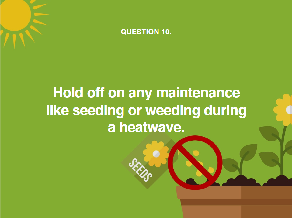 image telling you to hold off lawn maintenance such as weeding during a heatwave