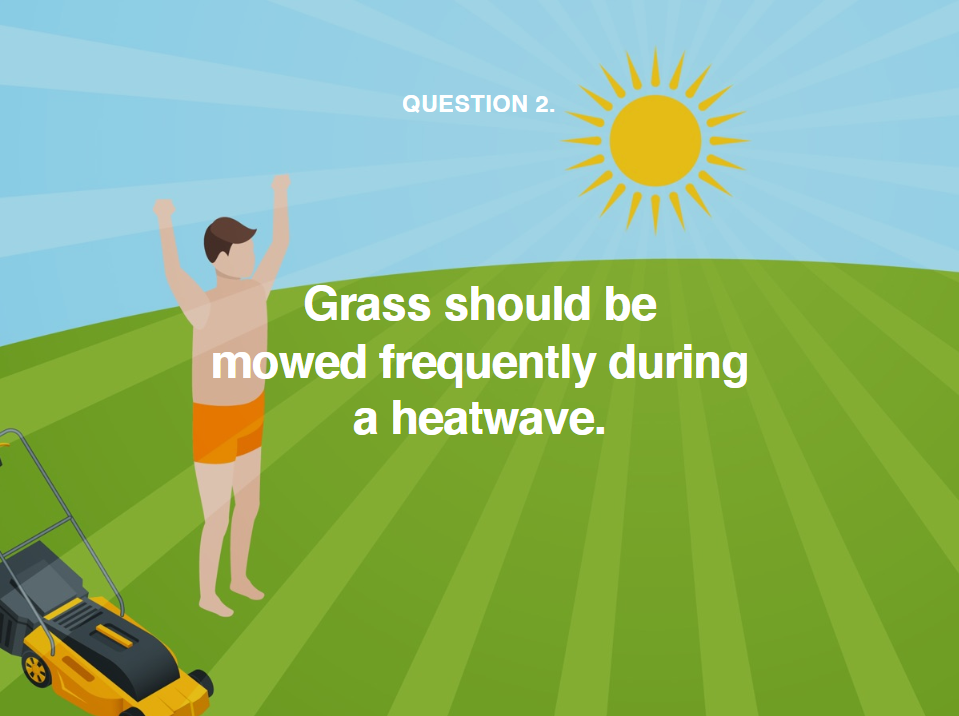 image showing how often grass should be mowed during a heatwave