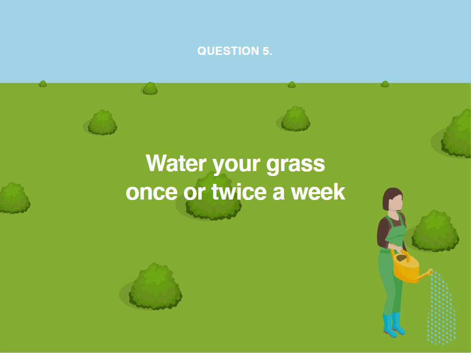 image showing you how often to water your grass during a heatwave