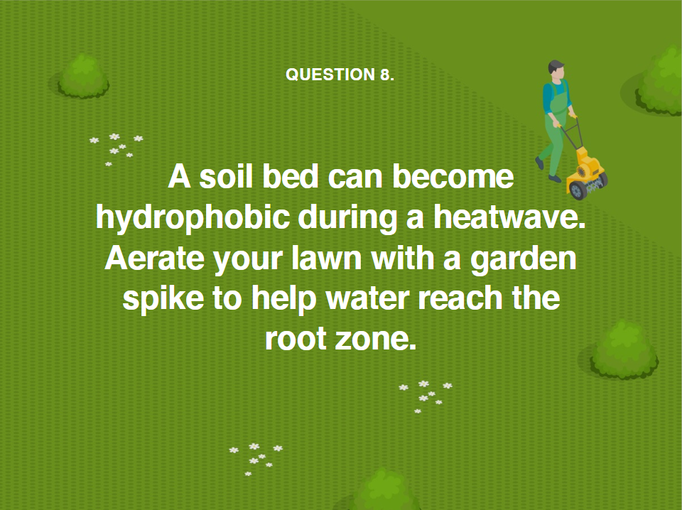image showing you how to aerate your lawn during a heatwave