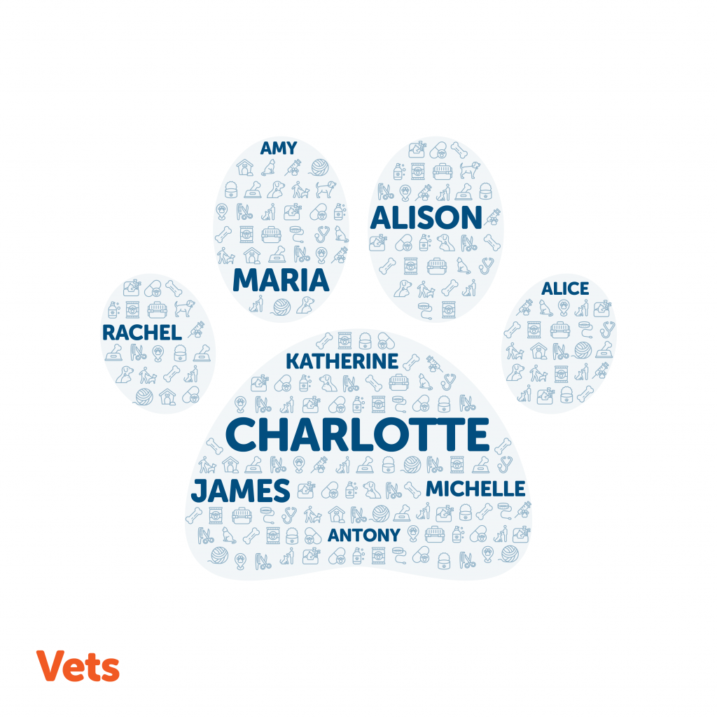 image showing the most common name for a vet