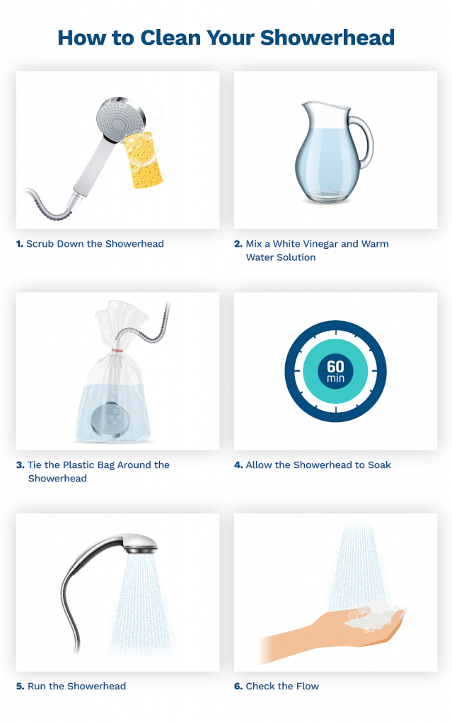 image showing you how to clean a showerhead in 6 steps