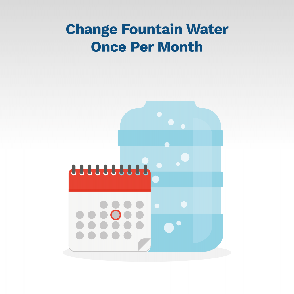 image telling you to change fountain water regularly to keep fountain clean