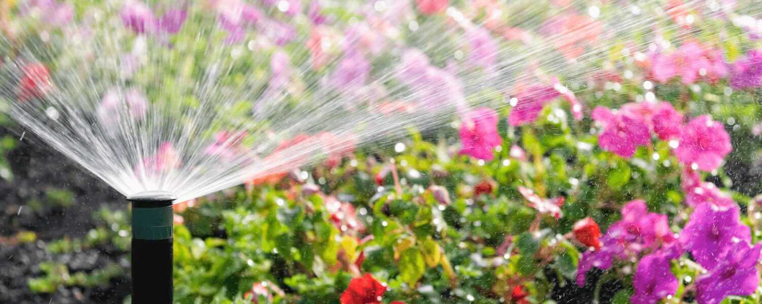 A Beginner's Guide to Garden Irrigation Systems